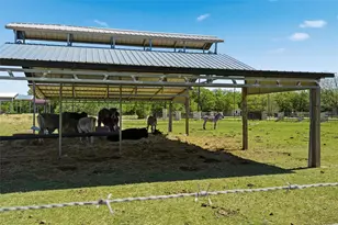 373 Wildbird Ln, Axtell, TX 76624 - Photo 19