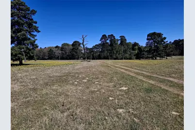 435 Fm 2064 N, Jacksonville, TX 75766 - Photo 7