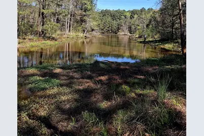 435 Fm 2064 N, Jacksonville, TX 75766 - Photo 13