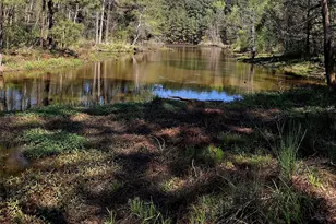 435 Fm 2064 N, Jacksonville, TX 75766 - Photo 13