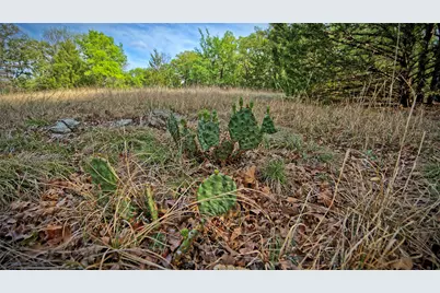 Tbd Horizon Ridge Ct Street, Sunset, TX 76270 - Photo 17