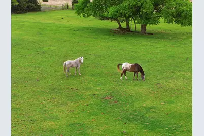 12384 County Road 800, Nevada, TX 75173 - Photo 37