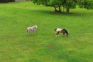 12384 Co Rd 800, Nevada, TX 75173 - Photo 37