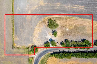 9547 County Road 501, Blue Ridge, TX 75424 - Photo 3