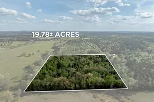 0 White Tail Rd, Gilmer, TX 75644 - Photo 1