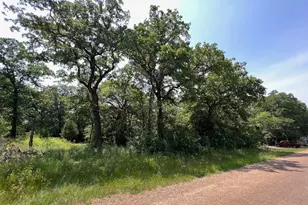 Tbd Natchez Trail, Mabank, TX 75156 - Photo 1