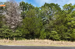 Lot 132 Lincoln Dr, Streetman, TX 75859 - Photo 1