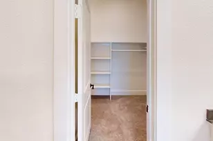 257 Mule Deer Dr, Frisco, TX 75068 - Photo 19