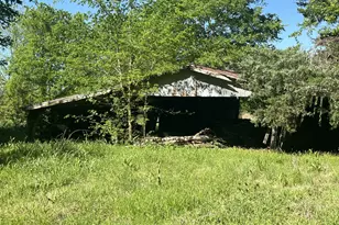 440 FM 44, Annona, TX 75550 - Photo 5