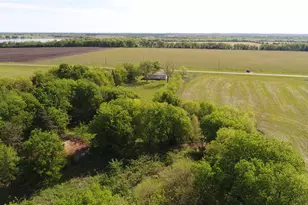 440 FM 44, Annona, TX 75550 - Photo 17