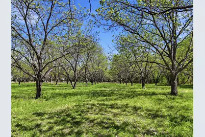 12011 Paradise Boulevard, Bluff Dale, TX 76433 - Photo 7