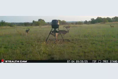 6929 Fm 1806, Nocona, TX 76255 - Photo 37