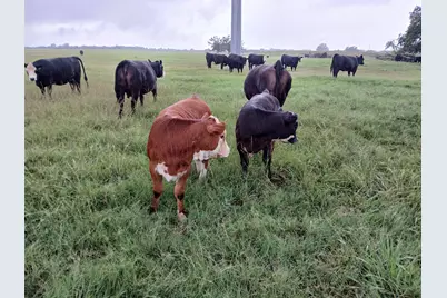 798 County Road 189, Carbon, TX 76435 - Photo 17