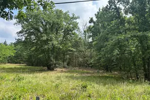 Lot 1 North Shore Rd, Quinlan, TX 75474 - Photo 1