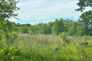 Tbd S First St, Point, TX 75472 - Photo 1