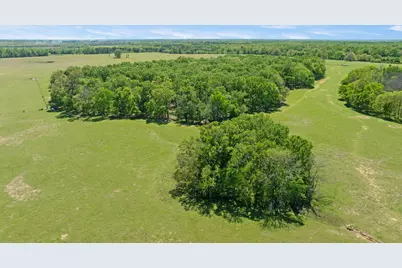 000 County Road 2356, Detroit, TX 75436 - Photo 15