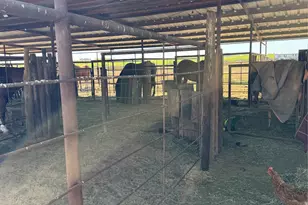 4435 Hayter Rd, Abilene, TX 79601 - Photo 21