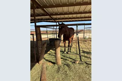4435 Hayter Road, Abilene, TX 79601 - Photo 23
