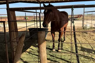 4435 Hayter Rd, Abilene, TX 79601 - Photo 23