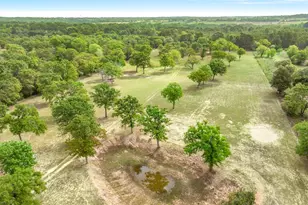 7700 Co Rd 3700, Athens, TX 75752 - Photo 11