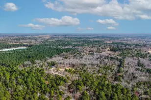 1462 Mole Rd, Winnsboro, TX 75494 - Photo 1