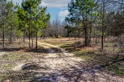 1462 Mole Road, Winnsboro, TX 75494 - Photo 13