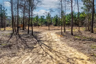 1462 Mole Road, Winnsboro, TX 75494 - Photo 11