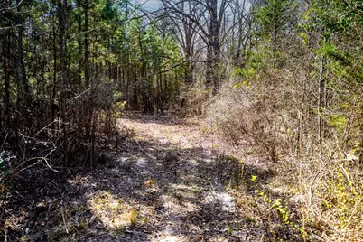 1462 Mole Road, Winnsboro, TX 75494 - Photo 31