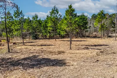 1462 Mole Road, Winnsboro, TX 75494 - Photo 17