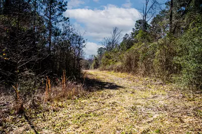 1462 Mole Road, Winnsboro, TX 75494 - Photo 33
