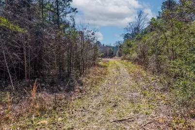 1462 Mole Road, Winnsboro, TX 75494 - Photo 23