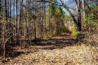 1462 Mole Road, Winnsboro, TX 75494 - Photo 29