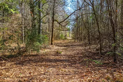 1462 Mole Road, Winnsboro, TX 75494 - Photo 25