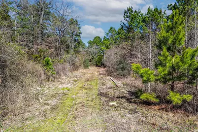 1462 Mole Road, Winnsboro, TX 75494 - Photo 21