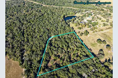 5 Acres Fcr 930, Teague, TX 75860 - Photo 3