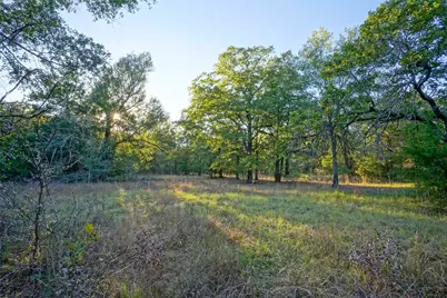5 Acres Fcr 930, Teague, TX 75860 - Photo 5