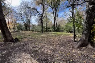 504 Lamar St, Sulphur Springs, TX 75482 - Photo 9