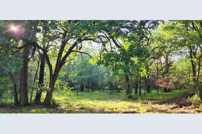 0000 Turner Road, Cross Roads, TX 76227 - Photo 9