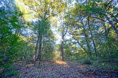40 Acres Fcr 930, Teague, TX 75860 - Photo 3