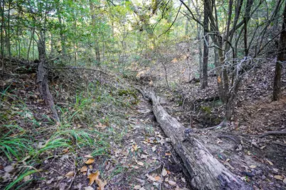 40 Acres Fcr 930, Teague, TX 75860 - Photo 7