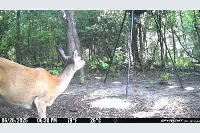 Tbd I-45, Teague, TX 75860 - Photo 5