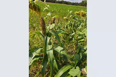 16811 County Road 107, Morgan Mill, TX 76463 - Photo 35