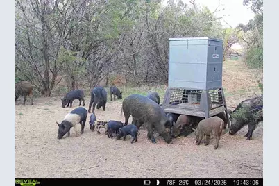 16811 County Road 107, Morgan Mill, TX 76463 - Photo 39