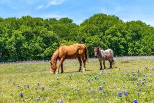 2201 E FM 813, Ennis, TX 75119 - Photo 7