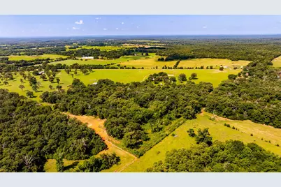 1710 An County Road 463, Montalba, TX 75853 - Photo 27