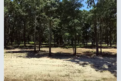 7375 Open Water Point, Quinlan, TX 75474 - Photo 29