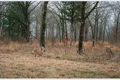 7375 Open Water Point, Quinlan, TX 75474 - Photo 11