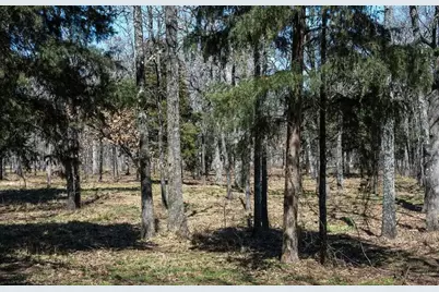 7375 Open Water Point, Quinlan, TX 75474 - Photo 17