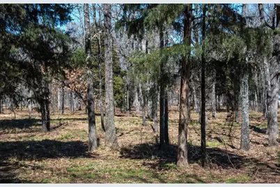 7375 Open Water Point, Quinlan, TX 75474 - Photo 9