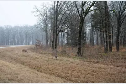 7375 Open Water Point, Quinlan, TX 75474 - Photo 15